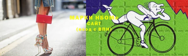 прущие грибы Алексин