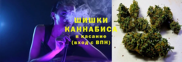 прущие грибы Алексин