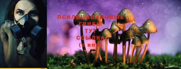 скорость Алзамай