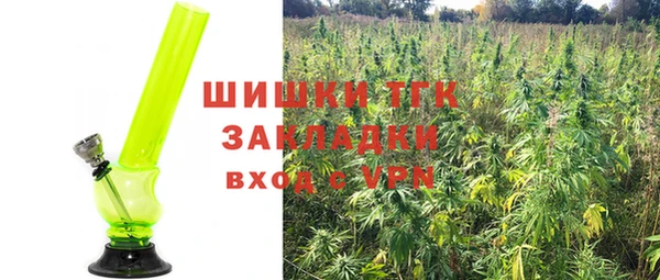 гидра Алексеевка