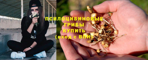 скорость Алзамай