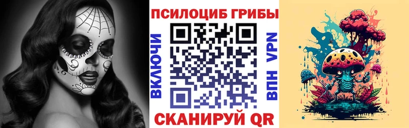 Псилоцибиновые грибы ЛСД  где купить наркотик  Ахтырский 
